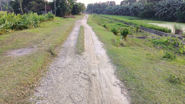 road.jpg