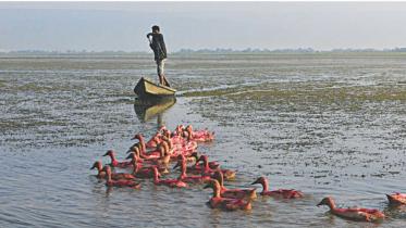nature-based-development-bangladesh.jpg