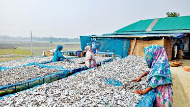 mohishluti-warehouse.jpg