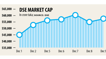dse-chart.jpg