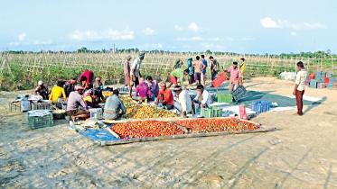 sylhet.jpg