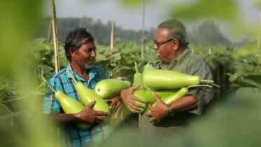 gourd.jpg