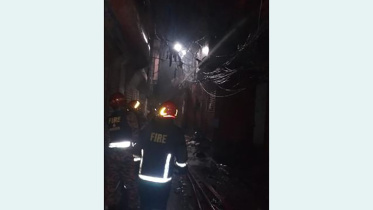 fire-web.jpg