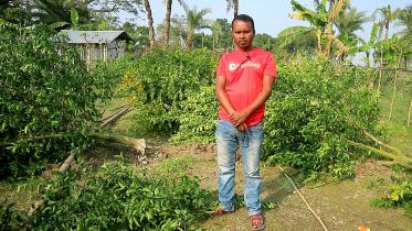 jhenidah-orange-farmers.jpg
