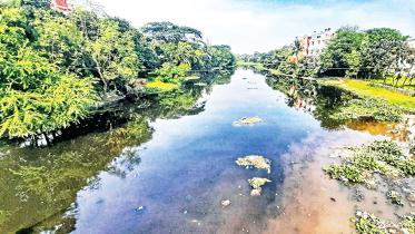 mayur-river-1.jpg