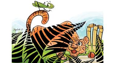 tigers.jpg