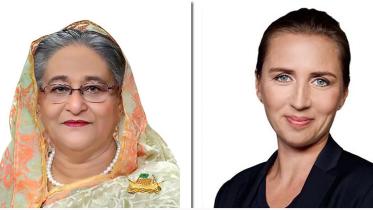 danish_pm.jpg