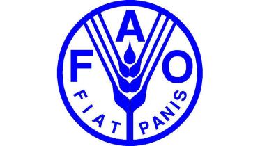 fao.jpg