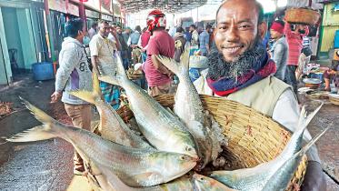 hilsa.jpg