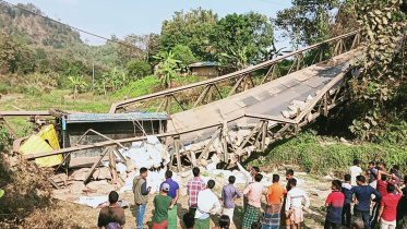 truck-web.jpg