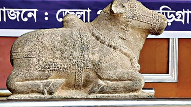 north-bengal.jpg