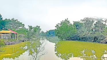 gazipur1.jpg
