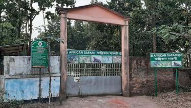 safari_park.jpg
