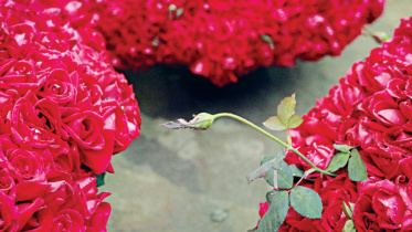 rose_0.jpg