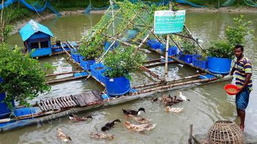 floating-gardens.jpg