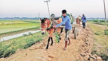 sunamganj-road-miserable-condition.jpg