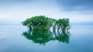 nature1.jpg
