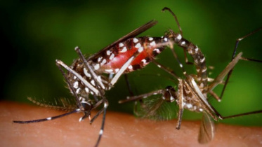 zika-reuters-wb_2_0.jpg