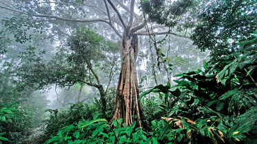 lozai-bandarban3.jpg