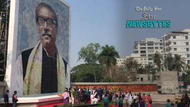 mural-no-text.jpg