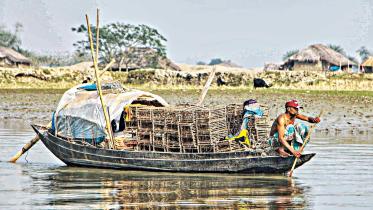 crab-hunting-1.jpg