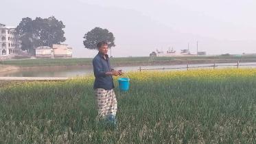 natore.jpg