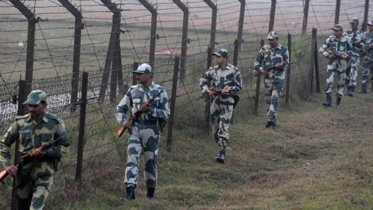 bsf_killing.jpg
