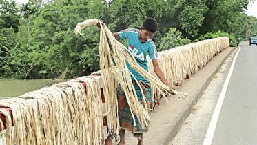 jute.jpg