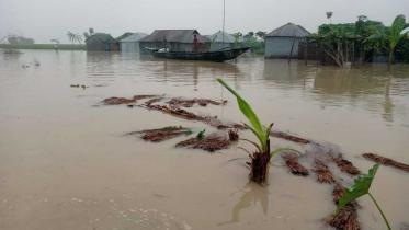 effect of flood