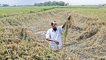 editorial_1_-_flash_floods_in_haor_region_-_sheikh_nasir.jpg