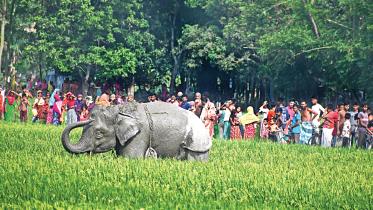 gaibandha-sadar-upazila.jpg