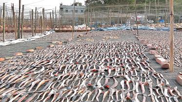 dry-fish.jpg