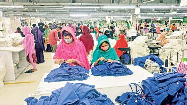 export-dev-fund-loans.jpg