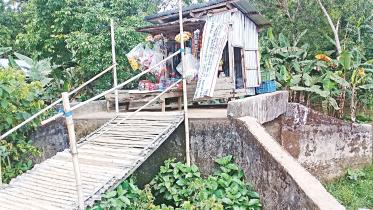 bridge.jpg