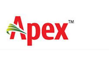 apex.jpg