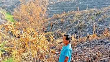 jhum-garden-on-fire.jpg