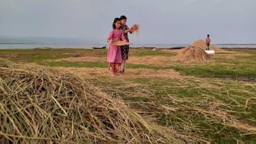 photo-doha-web.jpg