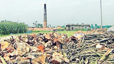 brickfields-ruining-farmlands.jpg