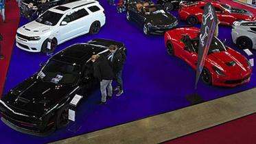 luxury-imports.jpg