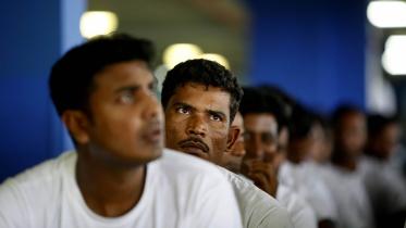 migrants-web.jpg