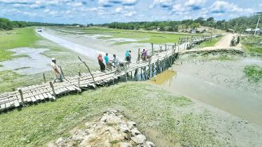 bhadra-river-1.jpg