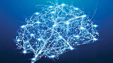 brain.jpg