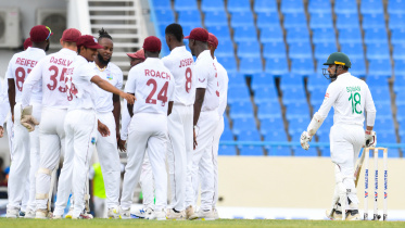 sohan_wicket.jpg