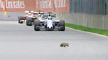 ferrari-driver-carlos-sainz.jpg