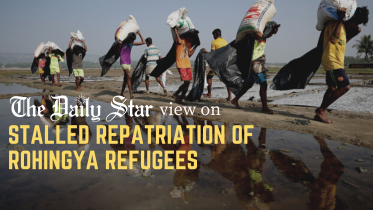 editorial_image_1.png
