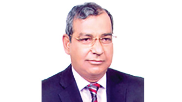 wasa-md.jpg