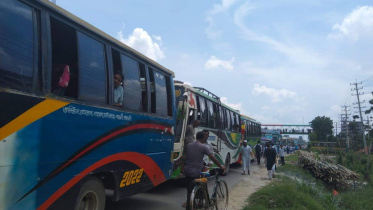 tailback.jpg