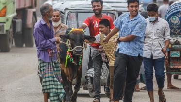 Eid-ul-Azha