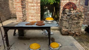 Keeping mangoes for after summer — Aamshotto