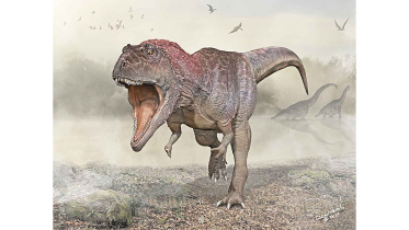 dinosaur-with-tiny-arms.jpg